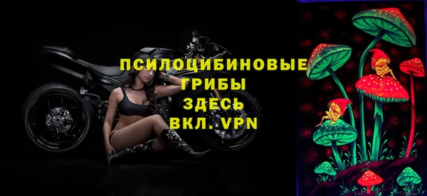 тгк Белокуриха