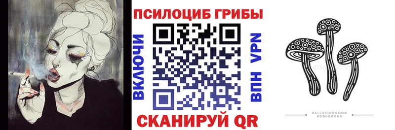 ОМГ ОМГ ONION  Курильск  Псилоцибиновые грибы Psilocybe 